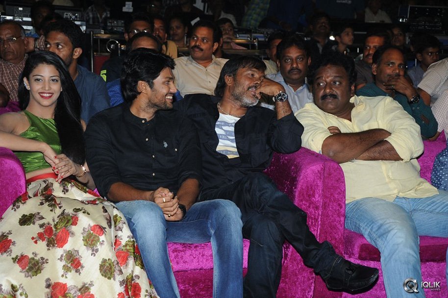 Hora-Hori-Movie-Audio-Launch